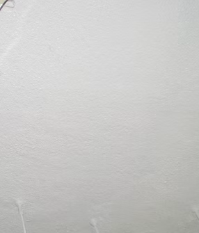 防カビ処理施工後