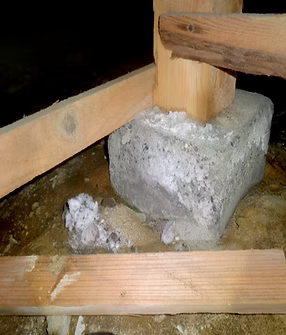 床下施工前のカビの様子